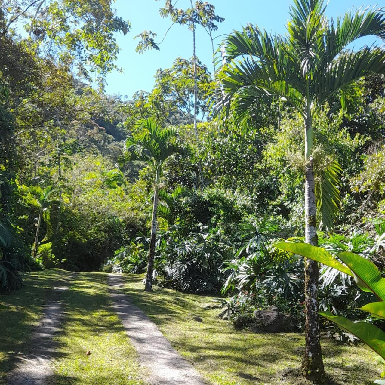 La Suiza Corredores Del Pacuare מראה חיצוני תמונה