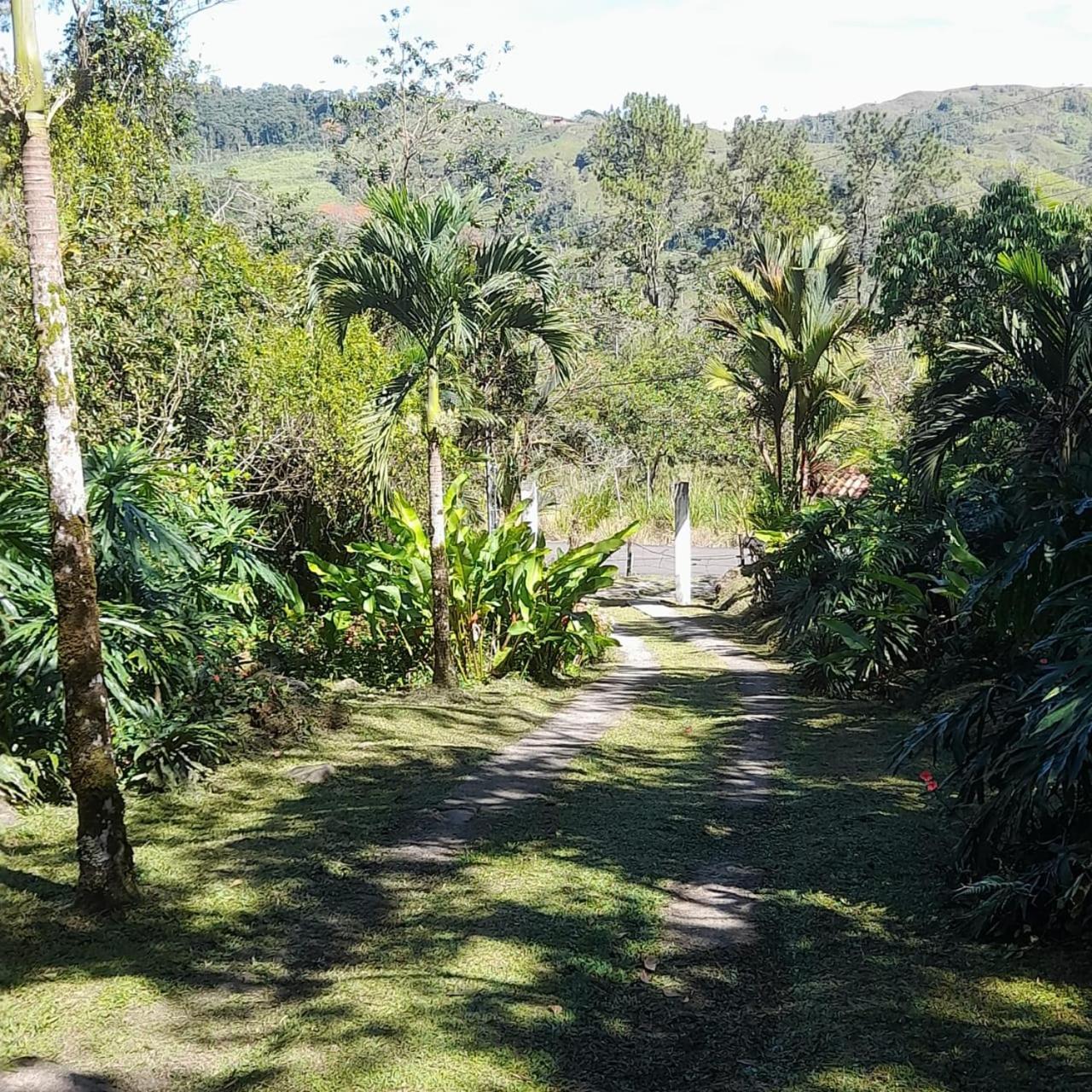 La Suiza Corredores Del Pacuare מראה חיצוני תמונה